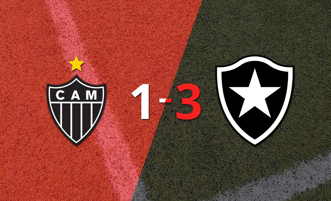 Botafogo fue superior y se adjudicó el torneo